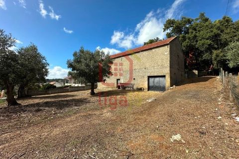 Erhvervsejendom i Ourem, Santarem, Ourem - € 59.000 | Ref: 1291 - foto 1