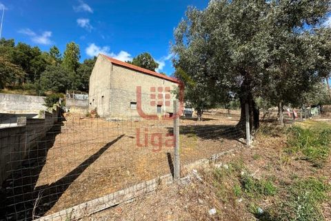 Erhvervsejendom i Ourem, Santarem, Ourem - € 59.000 | Ref: 1291 - foto 2