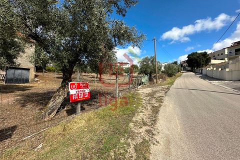 Erhvervsejendom i Ourem, Santarem, Ourem - € 59.000 | Ref: 1291 - foto 3
