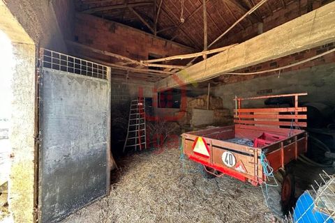 Erhvervsejendom i Ourem, Santarem, Ourem - € 59.000 | Ref: 1291 - foto 6