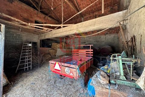 Erhvervsejendom i Ourem, Santarem, Ourem - € 59.000 | Ref: 1291 - foto 7