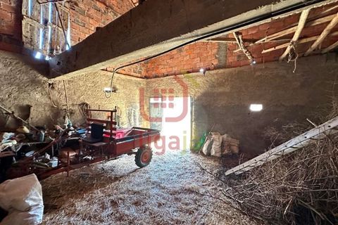 Erhvervsejendom i Ourem, Santarem, Ourem - € 59.000 | Ref: 1291 - foto 9
