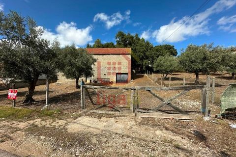 Erhvervsejendom i Ourem, Santarem, Ourem - € 59.000 | Ref: 1291 - foto 11