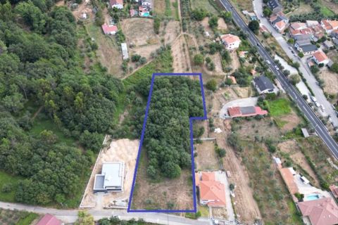 Helårsgrund i Cavernaes, Viseu, Cavernaes - € 137.000 | Ref: SÒL_41 - foto 1