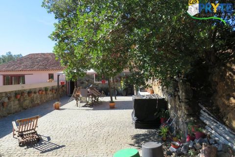 Farm i Serta, Castelo Branco, Serta - € 550.000 | Ref: AA312 - foto 7