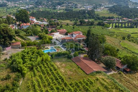 Granja a Barcelos, Braga, Barcelos - € 3.000.000 | Ref: ZMPT561380 - foto 5