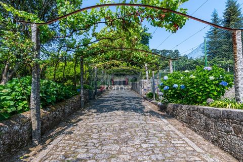 Granja a Barcelos, Braga, Barcelos - € 3.000.000 | Ref: ZMPT561380 - foto 15