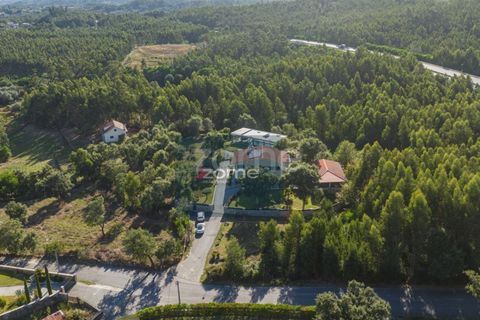 Villa i Ponte de Lima, Viana do Castelo, Ponte de Lima - € 1.300.000 | Ref: ZMPT570341 - foto 3