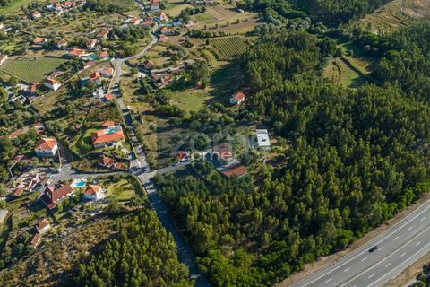 Villa i Ponte de Lima, Viana do Castelo, Ponte de Lima - € 1.300.000 | Ref: ZMPT570341 - foto 6