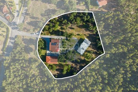 Villa i Ponte de Lima, Viana do Castelo, Ponte de Lima - € 1.300.000 | Ref: ZMPT570341 - foto 7