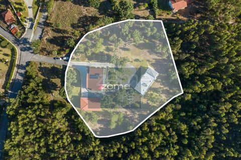 Villa i Ponte de Lima, Viana do Castelo, Ponte de Lima - € 1.300.000 | Ref: ZMPT570341 - foto 8