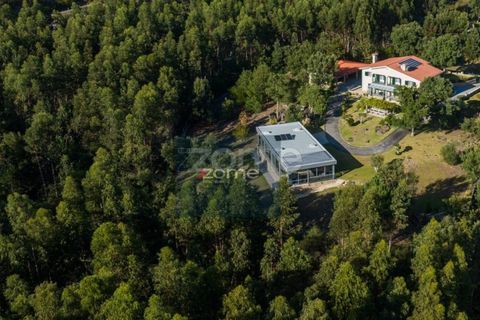 Villa i Ponte de Lima, Viana do Castelo, Ponte de Lima - € 1.300.000 | Ref: ZMPT570341 - foto 18