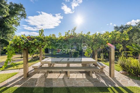 Villa i Ponte de Lima, Viana do Castelo, Ponte de Lima - € 1.300.000 | Ref: ZMPT570341 - foto 25