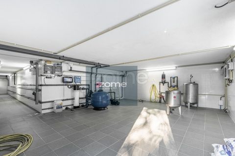 Villa i Ponte de Lima, Viana do Castelo, Ponte de Lima - € 1.300.000 | Ref: ZMPT570341 - foto 32