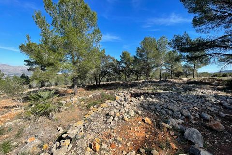 Tomt i Beniarbeig, Alicante, Beniarbeig - € 3 500 000 | Ref: SLV1-2562A - foto 3