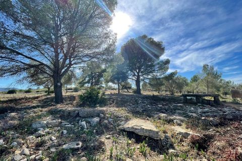 Tomt i Beniarbeig, Alicante, Beniarbeig - € 3 500 000 | Ref: SLV1-2562A - foto 4