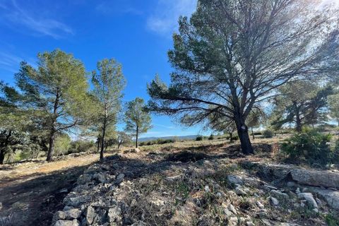 Tomt i Beniarbeig, Alicante, Beniarbeig - € 3 500 000 | Ref: SLV1-2562A - foto 5