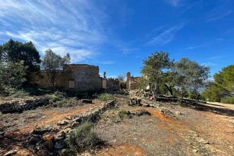 Tomt i Beniarbeig, Alicante, Beniarbeig - € 3 500 000 | Ref: SLV1-2562A - foto 6