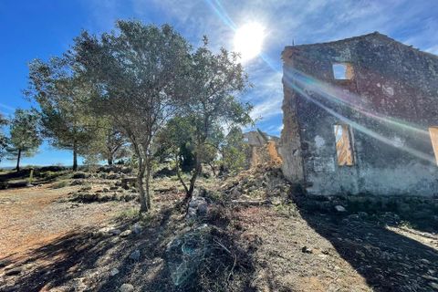 Tomt i Beniarbeig, Alicante, Beniarbeig - € 3 500 000 | Ref: SLV1-2562A - foto 7