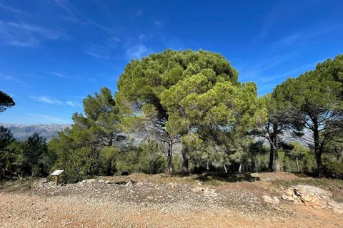 Tomt i Beniarbeig, Alicante, Beniarbeig - € 3 500 000 | Ref: SLV1-2562A - foto 8
