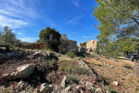 Tomt i Beniarbeig, Alicante, Beniarbeig - € 3 500 000 | Ref: SLV1-2562A - foto 10