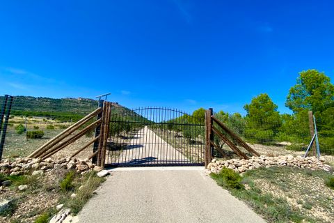 Finca i Ayora, Valencia, Ayora - € 3.200.000 | Ref: SLV1-2127H - foto 2