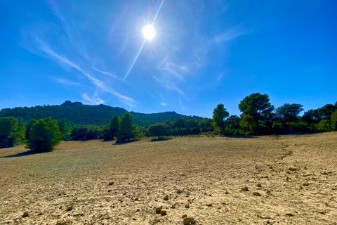Finca i Ayora, Valencia, Ayora - € 3.200.000 | Ref: SLV1-2127H - foto 3