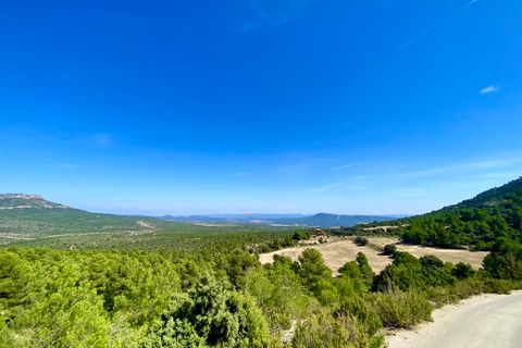 Finca i Ayora, Valencia, Ayora - € 3.200.000 | Ref: SLV1-2127H - foto 5