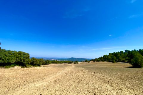 Finca i Ayora, Valencia, Ayora - € 3.200.000 | Ref: SLV1-2127H - foto 6