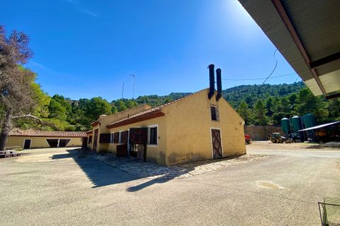 Finca i Ayora, Valencia, Ayora - € 3.200.000 | Ref: SLV1-2127H - foto 23