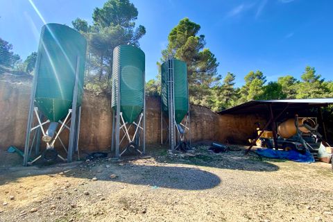 Finca i Ayora, Valencia, Ayora - € 3.200.000 | Ref: SLV1-2127H - foto 25
