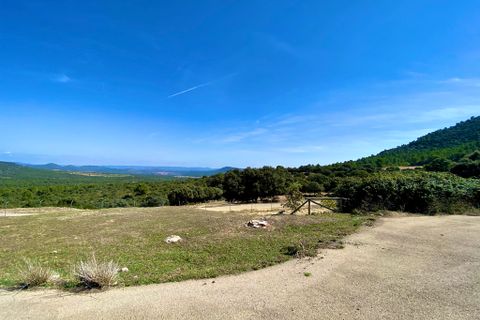 Finca i Ayora, Valencia, Ayora - € 3.200.000 | Ref: SLV1-2127H - foto 27