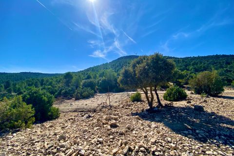 Finca i Ayora, Valencia, Ayora - € 3.200.000 | Ref: SLV1-2127H - foto 28