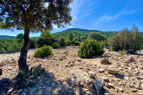 Finca i Ayora, Valencia, Ayora - € 3.200.000 | Ref: SLV1-2127H - foto 29