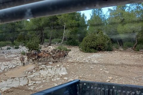 Finca i Ayora, Valencia, Ayora - € 3.200.000 | Ref: SLV1-2127H - foto 31