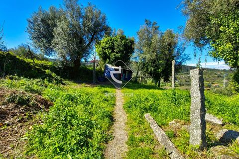 Byhus i Ponte de Lima, Viana do Castelo, Ponte de Lima - € 38.000 | Ref: AV6066 - foto 3
