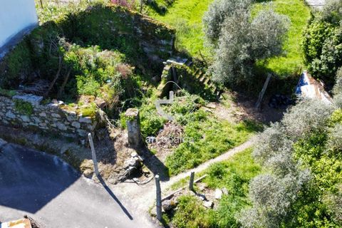 Byhus i Ponte de Lima, Viana do Castelo, Ponte de Lima - € 38.000 | Ref: AV6066 - foto 9