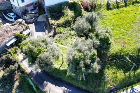 Byhus i Ponte de Lima, Viana do Castelo, Ponte de Lima - € 38.000 | Ref: AV6066 - foto 10