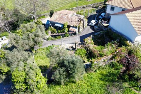 Byhus i Ponte de Lima, Viana do Castelo, Ponte de Lima - € 38.000 | Ref: AV6066 - foto 11