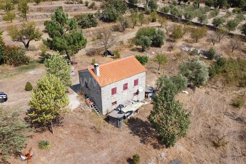 Erhvervsejendom i Guarda, Guarda, Guarda - € 195.000 | Ref: 405240196 - foto 1