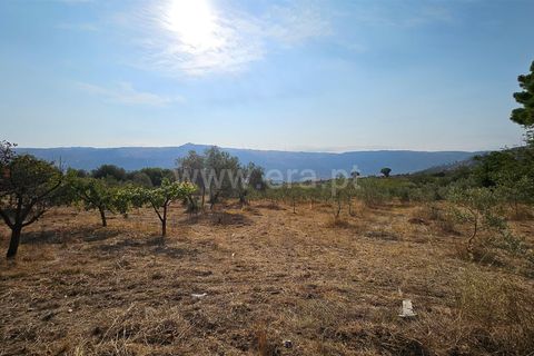 Erhvervsejendom i Guarda, Guarda, Guarda - € 195.000 | Ref: 405240196 - foto 8