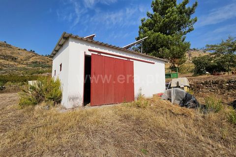 Erhvervsejendom i Guarda, Guarda, Guarda - € 195.000 | Ref: 405240196 - foto 3