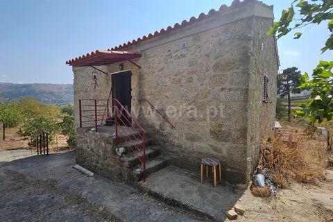 Erhvervsejendom i Guarda, Guarda, Guarda - € 195.000 | Ref: 405240196 - foto 9