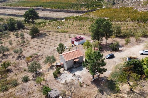 Erhvervsejendom i Guarda, Guarda, Guarda - € 195.000 | Ref: 405240196 - foto 10