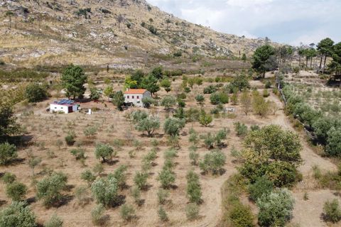 Erhvervsejendom i Guarda, Guarda, Guarda - € 195.000 | Ref: 405240196 - foto 13