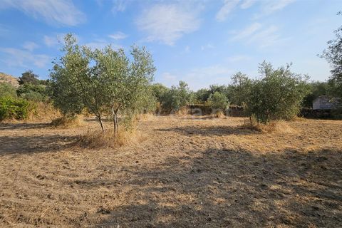 Erhvervsejendom i Guarda, Guarda, Guarda - € 195.000 | Ref: 405240196 - foto 7