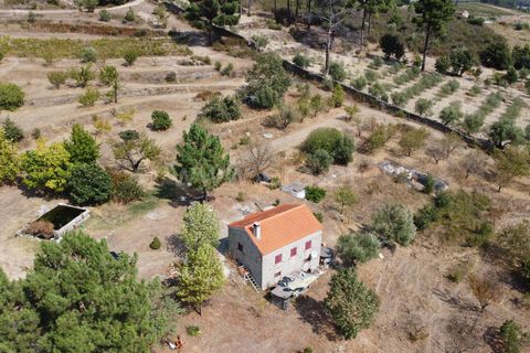 Erhvervsejendom i Guarda, Guarda, Guarda - € 195.000 | Ref: 405240196 - foto 11