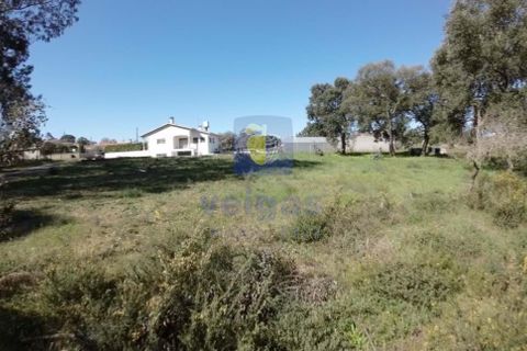 Helårsgrund i Parceiros e Azoia, Leiria, Parceiros e Azoia - € 65.000 | Ref: CRIS-000003 - foto 1