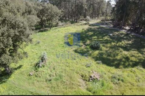 Helårsgrund i Parceiros e Azoia, Leiria, Parceiros e Azoia - € 65.000 | Ref: CRIS-000003 - foto 3