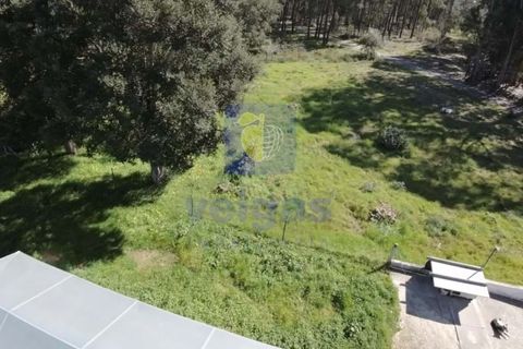 Helårsgrund i Parceiros e Azoia, Leiria, Parceiros e Azoia - € 65.000 | Ref: CRIS-000003 - foto 5